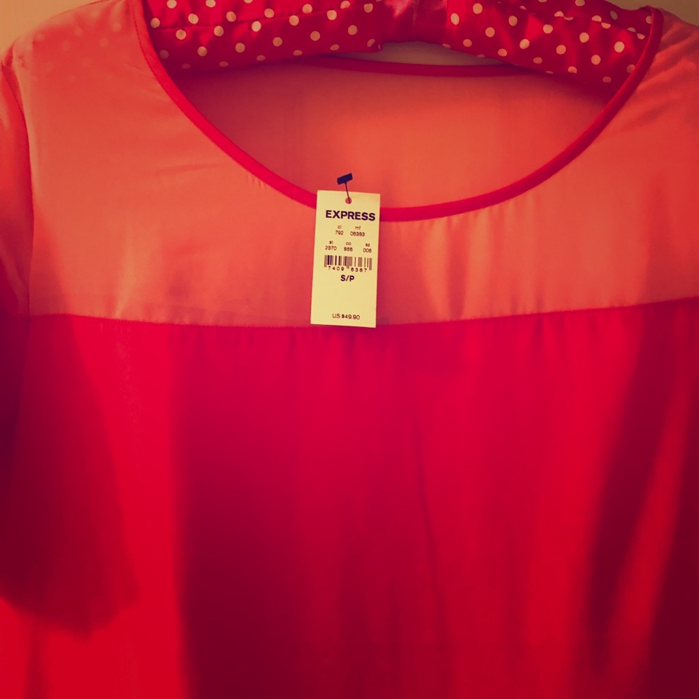 Express shift dress